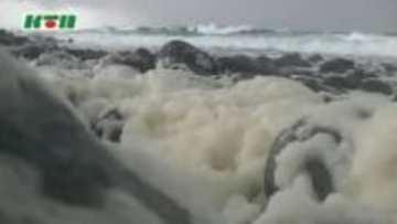 荒々しい冬の海とは対照的に“かれん”五島の海岸で「波の花」