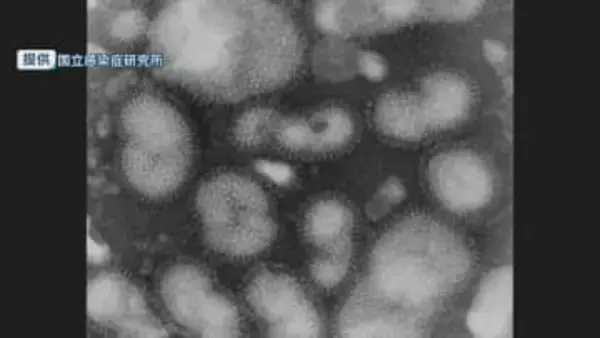 昨シーズンより1カ月も早く…「インフルエンザ流行警報」が発表 10歳未満と10代で感染者の8割に