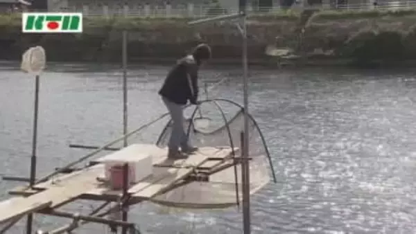 おススメは“噛まずに飲む”佐々川に春の訪れ「シロウオ漁」最盛期　飲食店では踊り食いや吸い物が期間限定で提供