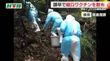 「野生イノシシ「豚熱」感染で22日に経口ワクチンを散布  半径10km圏内の養豚場に異常なし」の画像1