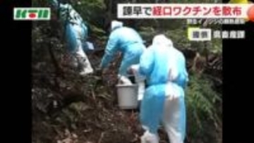 野生イノシシ「豚熱」感染で22日に経口ワクチンを散布  半径10km圏内の養豚場に異常なし