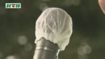 ダブル選、トリプル選効果か…期日前投票率は25.97%とすでに過去最多 選挙戦最終日に候補者が訴え