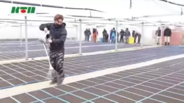 五島の基幹作物「葉タバコ」の種まき始まる 農家の高齢化やタバコの値上げで育苗施設は1カ所に縮小