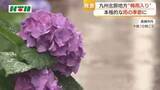 「本格的な雨の季節が到来　九州北部地方の“梅雨入り”発表」の画像1