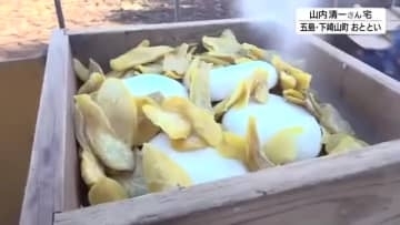 五島列島の年末風物詩「かんころ餅作り」蒸して干したさつまいもと餅を混ぜすりつぶす受け継がれる伝統の味