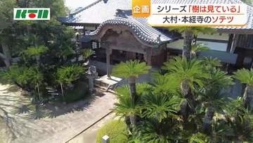 大村藩の富と権力を物語る　子孫繁栄・不老長寿の象徴　本経寺のソテツ