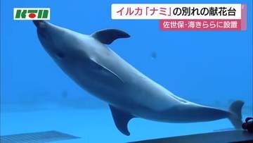 「手を振ったら必ず寄ってきてくれた」　イルカの「ナミ」天国へ　海きららに献花台設置