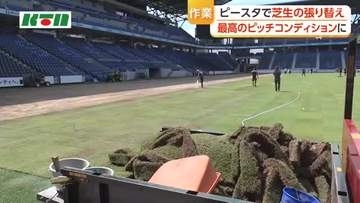 「最高のピッチを」J1開幕戦に向けピースタで芝生の張り替え