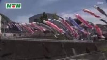 小学校前の川で泳ぐ「100匹の鯉のぼり」各家庭で役目を終えて集結！子供たちの小学校生活を見守る