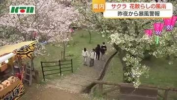 「きのうの風の割にはまだ満開」　花散らしの風雨　暴風警報から一夜明け午後には花見も