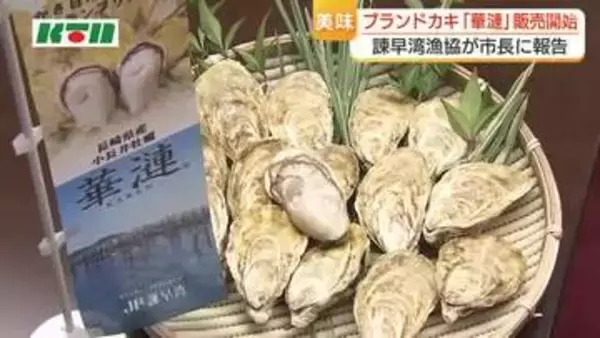 「今がおいしい時期」小長井ブランドかき「華漣」の販売開始　養殖量を減らし品質を追求