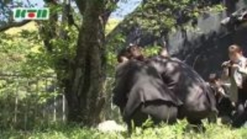 母の日にもらったカーネーションを亡くなった場所に…いじめで自殺の男子生徒の両親が花を手向ける「死を無駄にしないように」