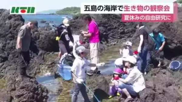 五島の海岸で子供たちが生き物探し