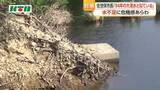 「「大渇水と似ている」と佐世保市長が危機感　ダム貯水率は65.8%に」の画像1