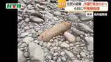 「【長崎県大村市】6日に不発弾処理　地域住民に避難指示　国道の一部で通行止め　新幹線の運転見合わせも」の画像1