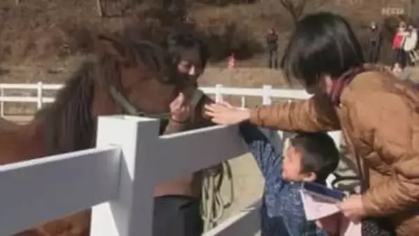 かつて荷物の運搬に活躍していた「対州馬」もっと身近に…子供たちがエサやり体験などで馬とふれあう