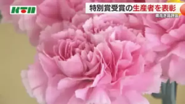 カーネーションにトルコギキョウ…高評価の「長崎の花」品評会で上位者の花が26日から一堂に