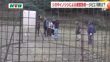 野生生物と人との共存は…鹿やイノシシによる被害が急増する五島列島 学生やハンターが島の「囲い罠」見学