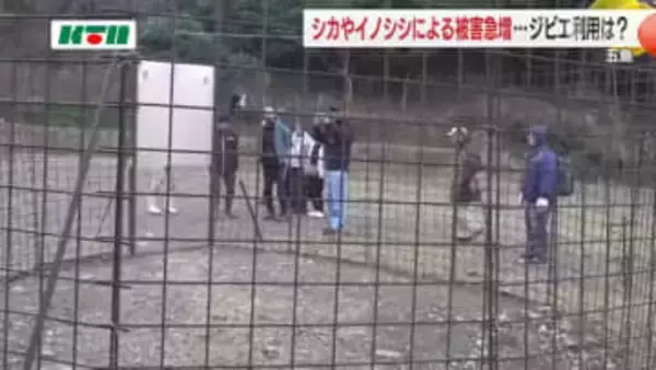 野生生物と人との共存は…鹿やイノシシによる被害が急増する五島列島 学生やハンターが島の「囲い罠」見学