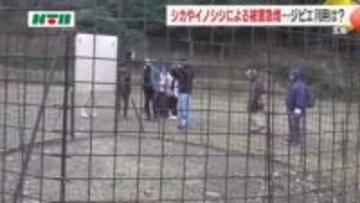 野生生物と人との共存は…鹿やイノシシによる被害が急増する五島列島 学生やハンターが島の「囲い罠」見学