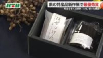 島原産の「ハゼ」を使ったハンドクリームを開発　保湿性に優れるアイテム　高校生のアイディアも参考に