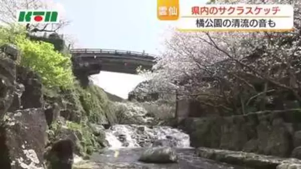 「清流に咲くサクラの空中映像　眺めるなら川の上から？それとも下から？　雲仙・橘公園の花見客の答えは」の画像