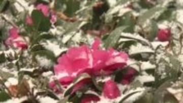 雲仙岳で氷点下7.1℃、対馬鰐浦で氷点下4.2℃…13地点で今季最低気温を記録 大雪のおそれなくなる