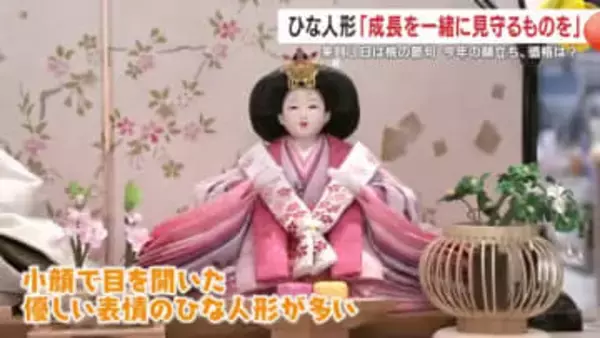 「飾る手間ゼロ」が人気　2026年は“ケース型ひな飾り”がトレンドに