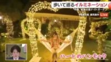 【中継・前半】奄美の里ナイトガーデン　歩いて巡るイルミネーション