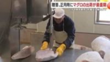 「年末に“極上マグロ”が間に合うワケ」鹿児島・工場の“冷凍→手切り”現場で見た出荷最盛期