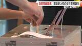 「【鹿児島この一年】有権者の選択　選挙相次ぐ」の画像1