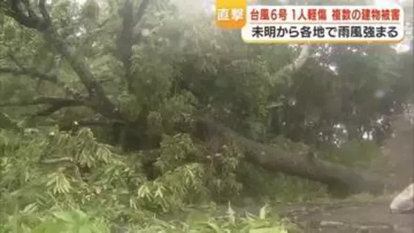 台風６号が奄美から県本土を直撃　停電３万戸超、交通機関も終日影響【鹿児島】