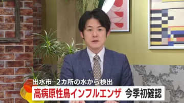 高病原性鳥インフルエンザ　今季初確認　鹿児島出水市の2カ所の水から検出