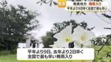 「奄美地方　平年より９日早く全国で最も早い梅雨入り・鹿児島」の画像1