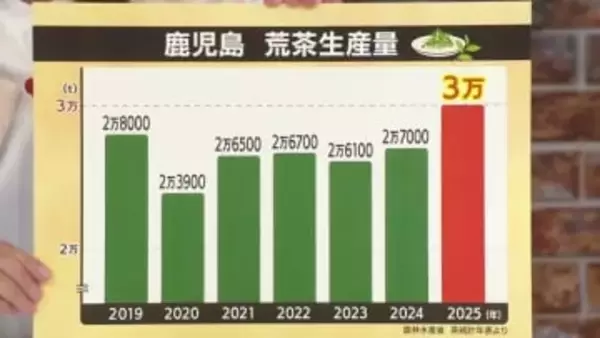 鹿児島が2年連続で“日本一”に　荒茶生産量3万トン突破、「かごしま茶」が変える国内のお茶市場