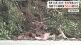 「【気象予報士解説】奄美で大雨　十島村はレベル４・土砂災害危険警報」の画像1