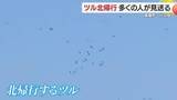 「冬の使者　ツルの北帰行ピーク　鹿児島・長島町の行人岳　多くの人でにぎわう」の画像1
