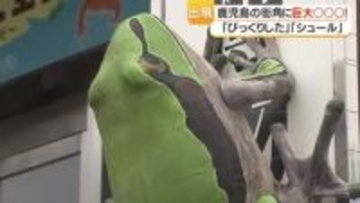 巨大アマガエル出現　鹿児島市の県立博物館前に全長約1メートルの手作りオブジェ展示中