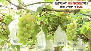 黒羽子観光農園の魅力　地域に愛され36年　鹿屋市吾平町【鹿児島】