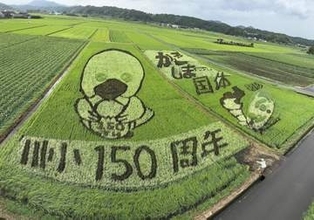 鹿児島の田んぼが巨大なキャンバスに！　２０２６年は農業と芸術の「二刀流」が出現予定！