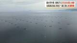 「垂水市牛根　養殖ブリ2万3000匹に被害 　台風接近後に発生？　錦江湾に赤潮警報」の画像1