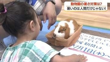 熱中症対策で動物園が変わった　屋内でウサギと触れ合い・スタッフ全員にファン付き作業服　鹿児島・平川動物公園