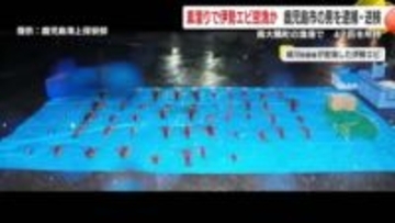 素潜りで伊勢エビ密漁か　鹿児島市の男を逮捕・送検　南大隅町の漁港で　47匹を所持