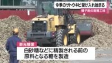 白砂糖などの原料に　種子島の製糖工場でサトウキビの受け入れ始まる・鹿児島