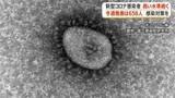 「新型コロナ感染者、高い水準続く　今週発表は658人【鹿児島】」の画像1
