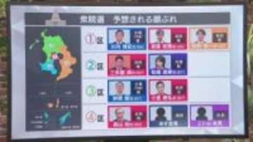 鹿児島選挙区最新　現職・元職・新人の顔ぶれ速報（1区〜4区）