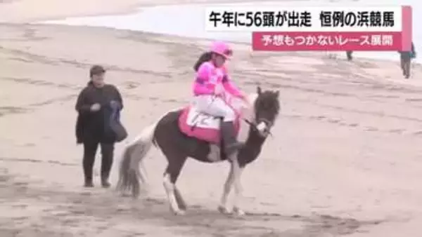 浜競馬・いちき串木野で56頭が激走、観客を魅了「落馬しても走り抜く姿が格好よかった」
