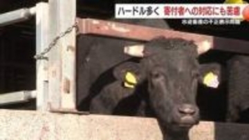 鹿児島産と偽装、返礼6500件・寄付8000万円分に波及　ふるさと納税の信頼はどうなるのか