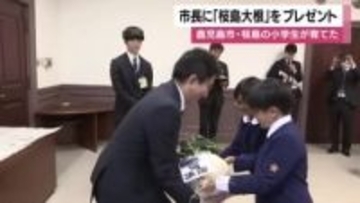 鹿児島市・桜島の小学生が育てた　「桜島大根」を市長にプレゼント