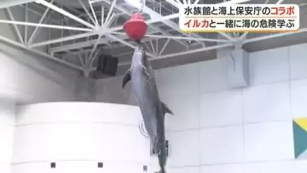 水族館と海上保安庁のコラボ　イルカと一緒に海の危険学ぶ【鹿児島】